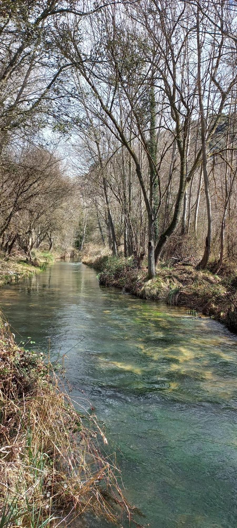 Spa Y Casa Rural Rio Dulce Aragosa Dış mekan fotoğraf